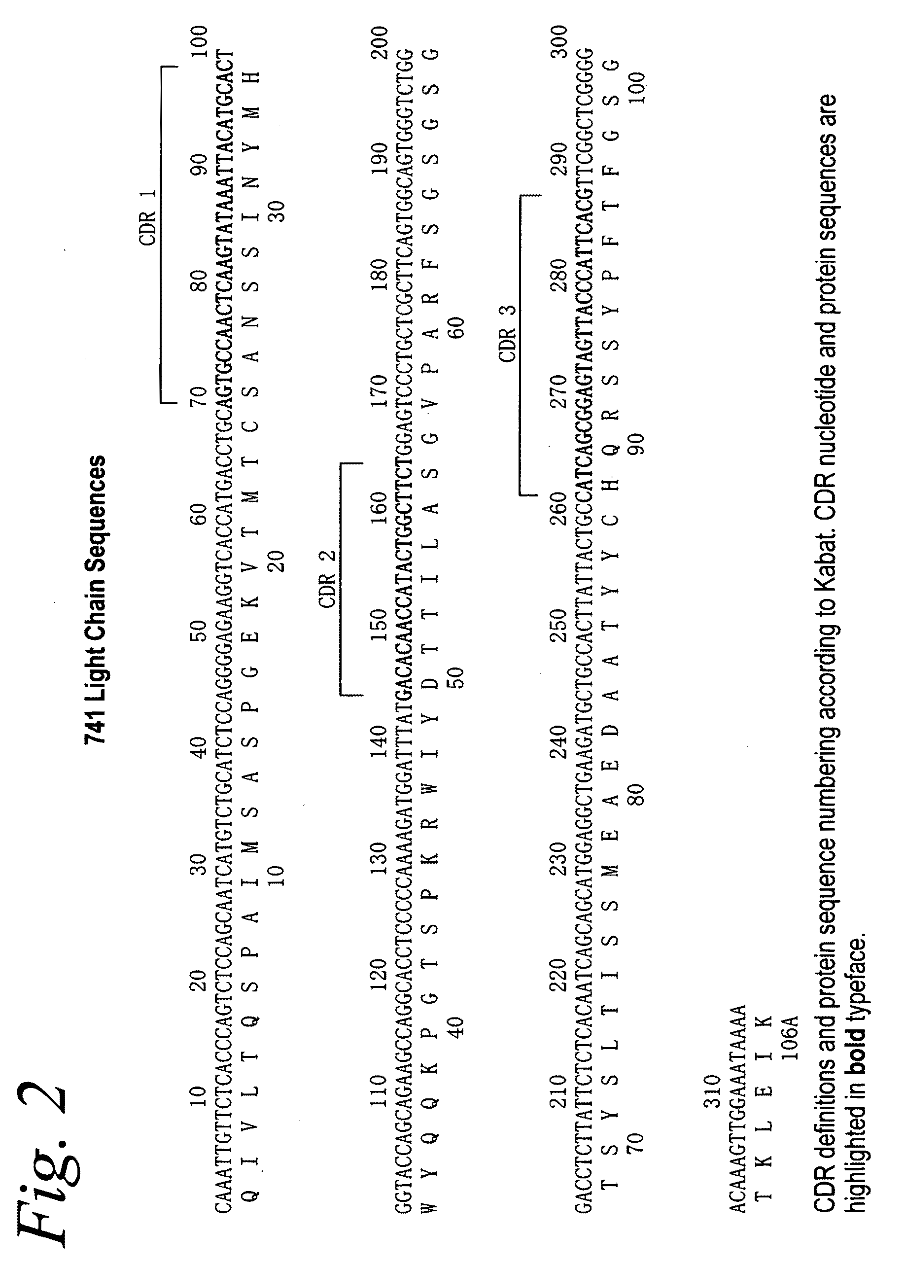Antibodies against flagellin and uses thereof