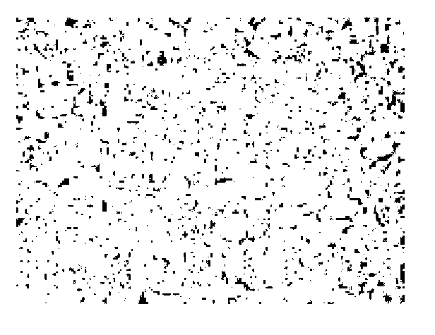 Method for rolling carbon steel and low alloy steel large-piece-weight extra thick composite blank