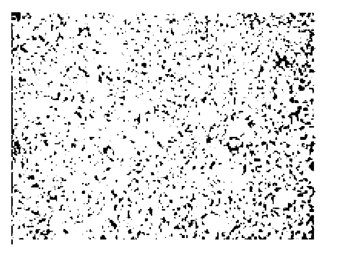 Method for rolling carbon steel and low alloy steel large-piece-weight extra thick composite blank