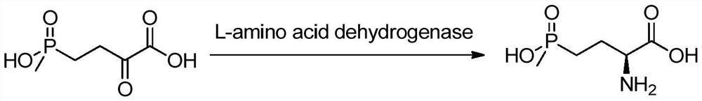 A d-amino acid oxidase mutant and its application