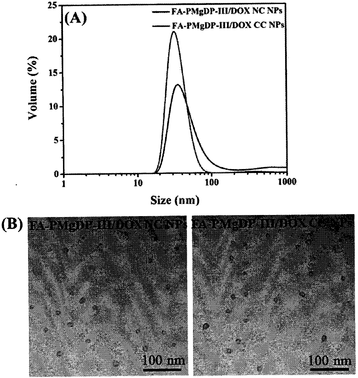 Double-targeting and pH/oxidation reduction double-sensitive core cross-linking nanoparticle as well as preparation method and application