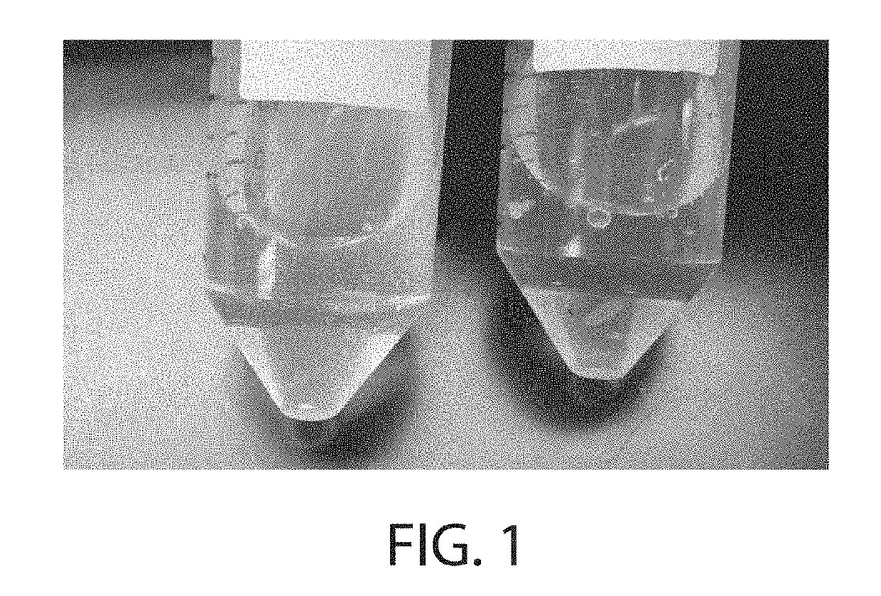 Protein retention expansion microscopy