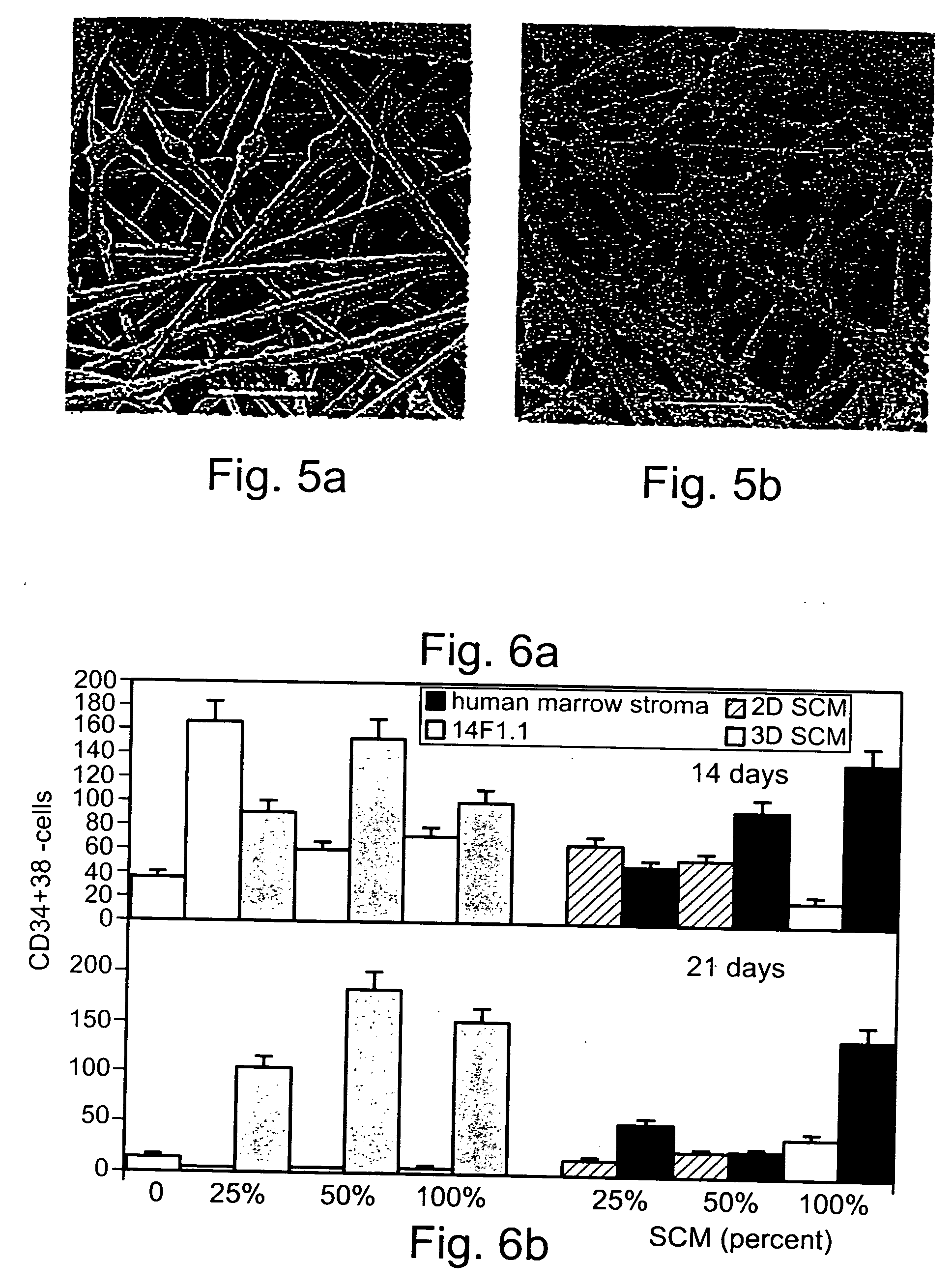 Method and apparatus for maintenance and expansion of hemopoietic stem cells and/or progenitor cells