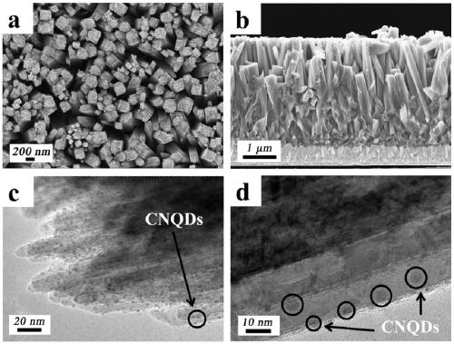 A modified g-c3n4 quantum dot/tio2 nanowire photoanode and its application