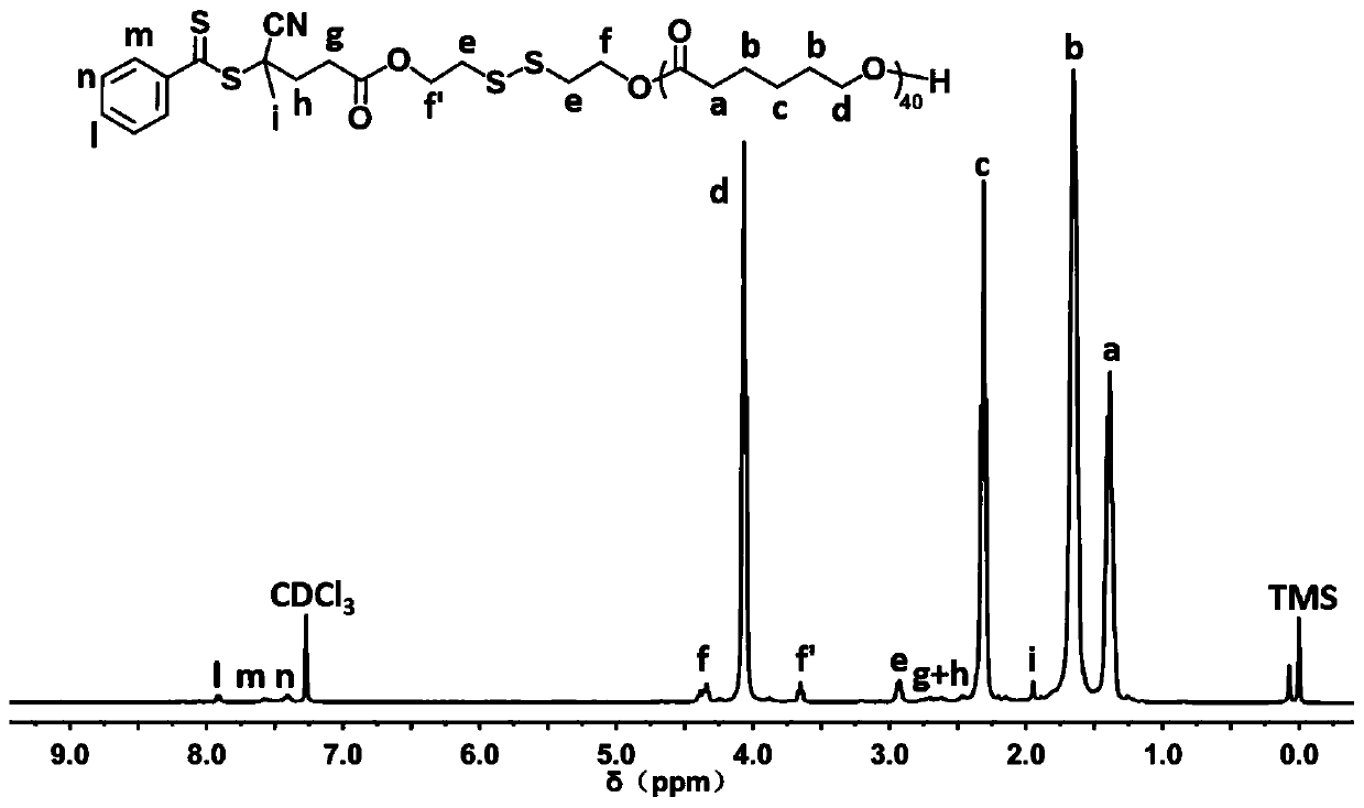 Cationic polymer for co-loading drugs and genes and application of cationic polymer