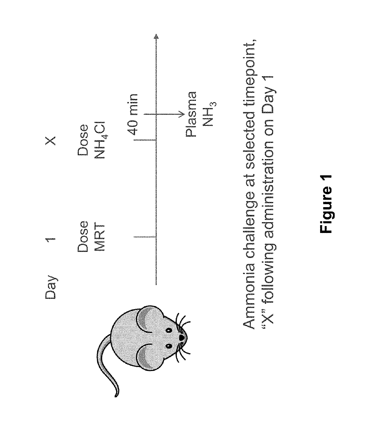 Composition and Methods for Treatment of Ornithine Transcarbamylase Deficiency