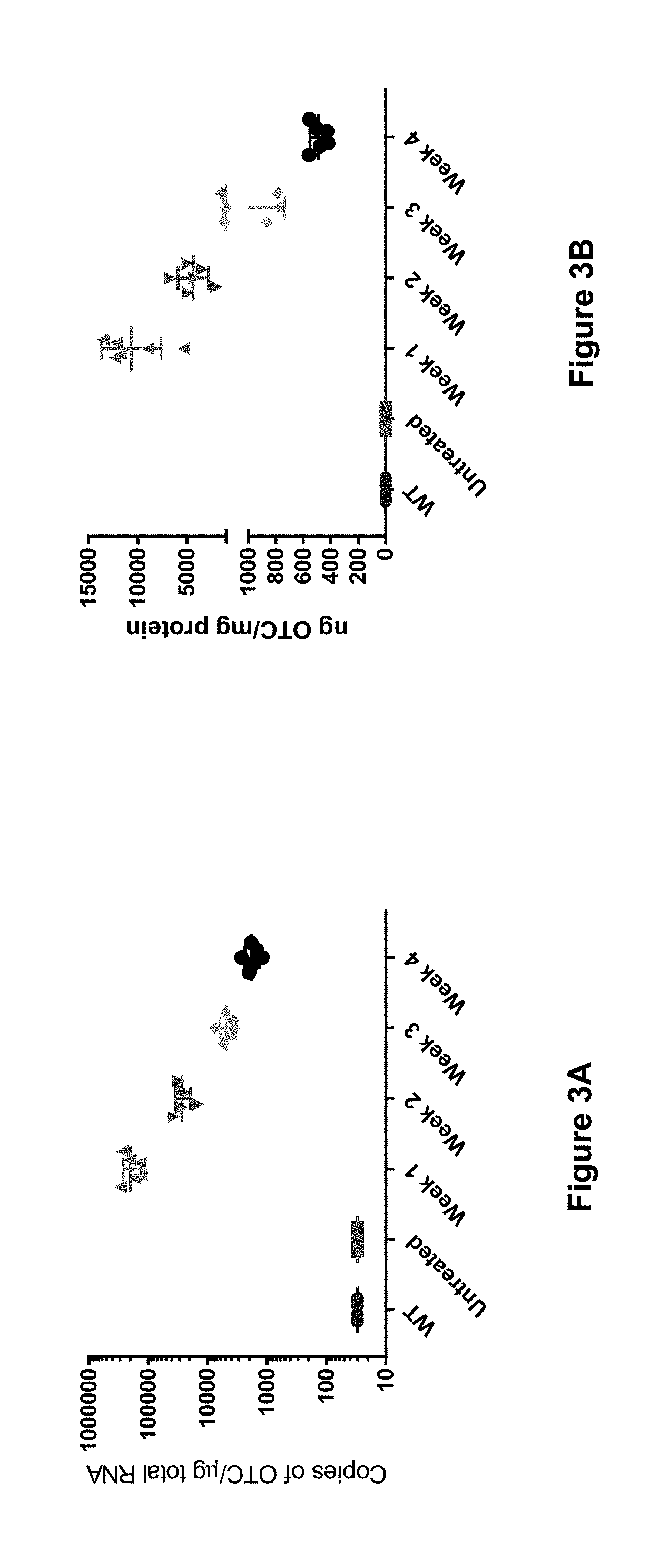 Composition and Methods for Treatment of Ornithine Transcarbamylase Deficiency