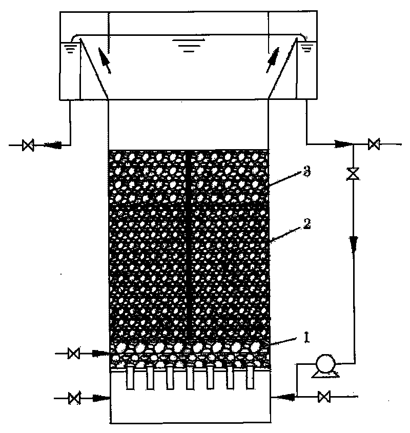 Biological aerated filter with large particle-size and light-weight filler at surface layer