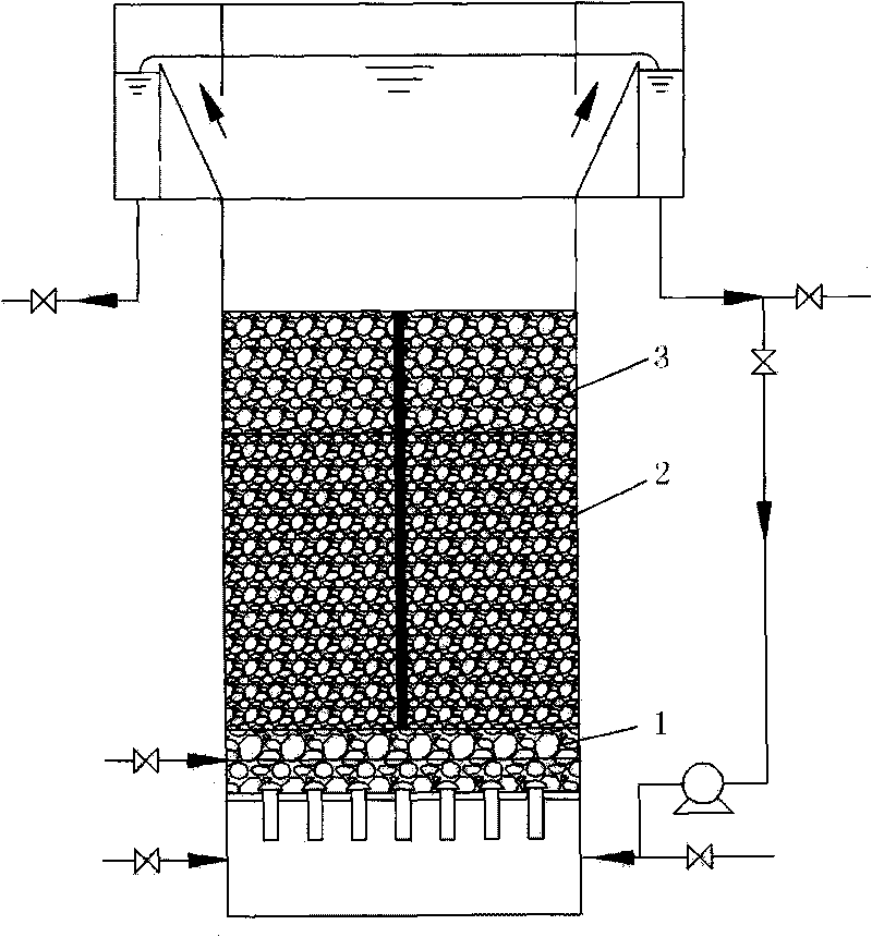 Biological aerated filter with large particle-size and light-weight filler at surface layer