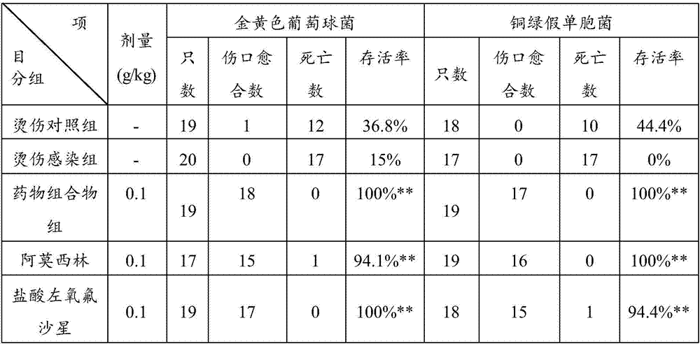 Bacterial infection resistance pharmaceutical composition and application thereof