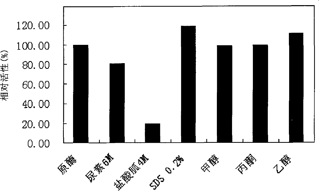 Method for renaturing and purifying recombinant extremely heat-resistant alpha-amylase