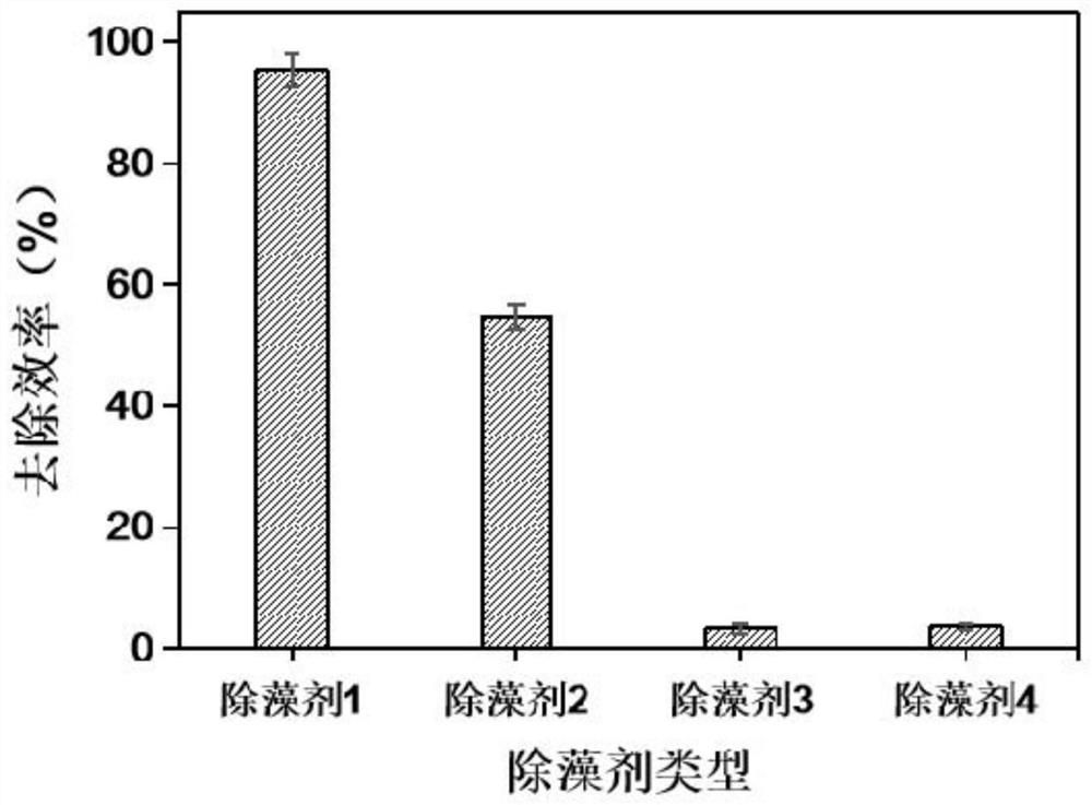 Red tide algae algicide based on tannic acid activated persulfate and application of algicide