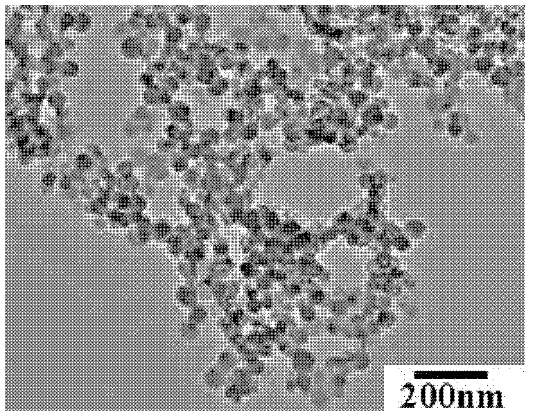 Preparation method of composite luminescent fiber nanomaterial
