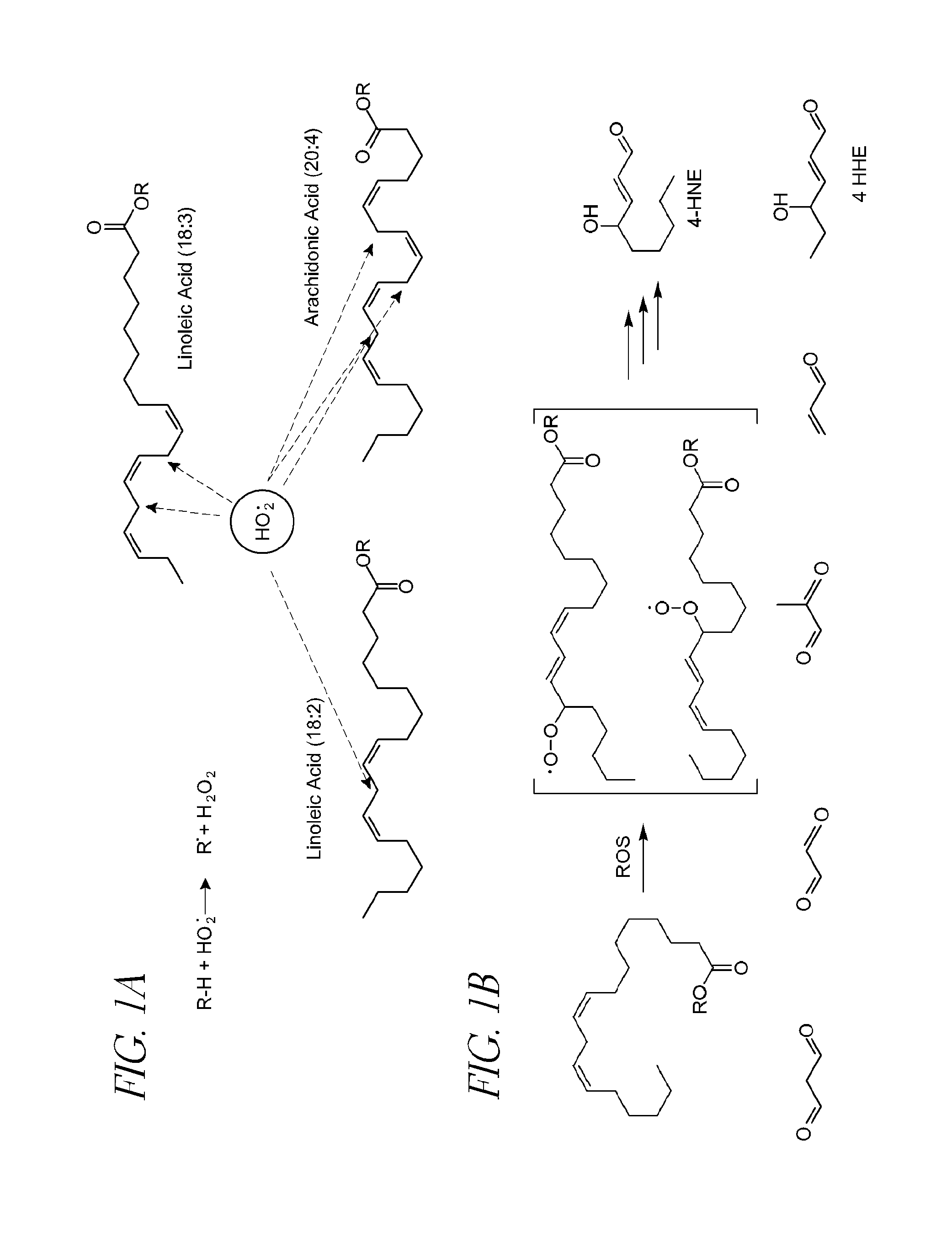 Disorders implicating pufa oxidation