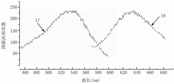 Cortical functional multi-mode imaging system