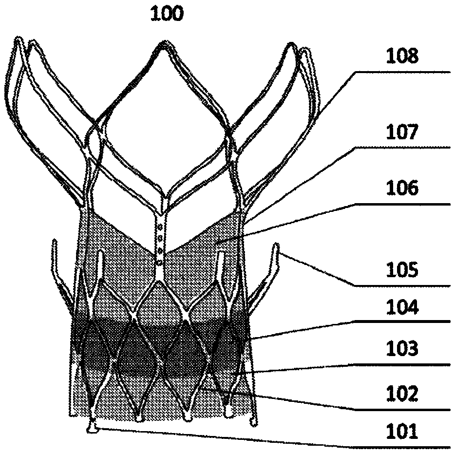Transcatheter aortic valve and preparation method thereof