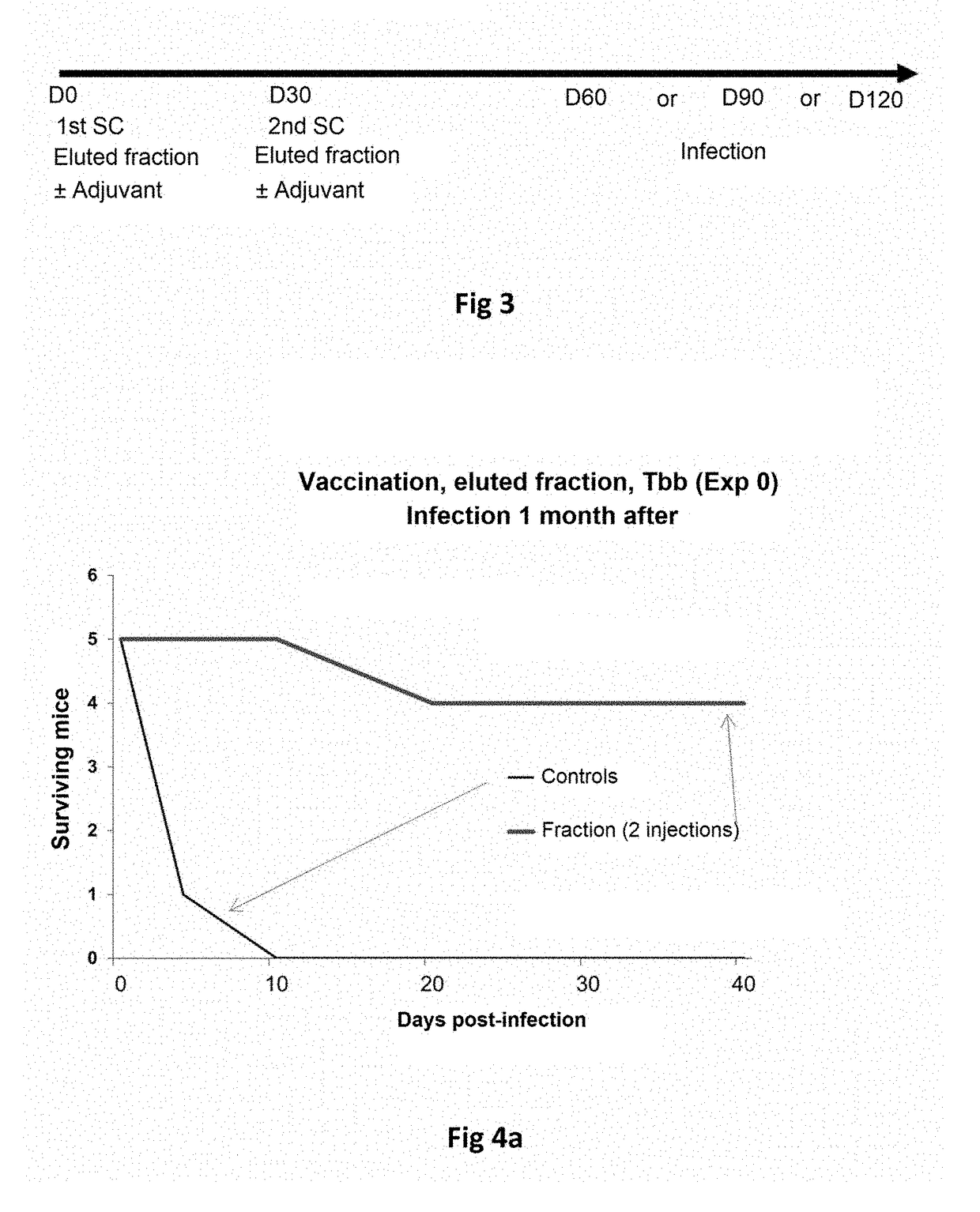 Treatment and detection of trypanosomes