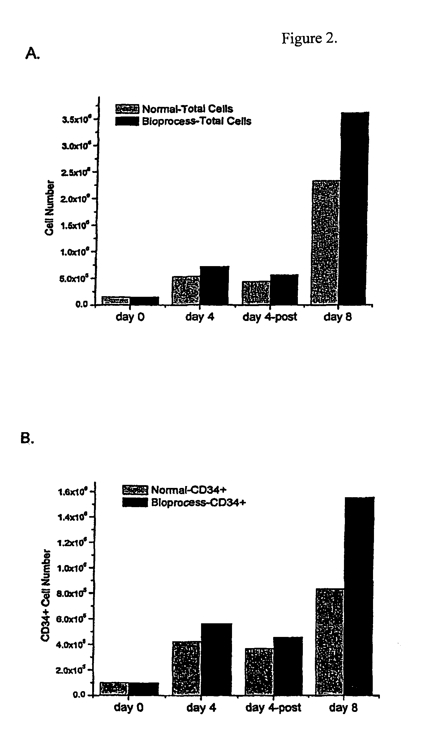 Apparatus and methods for amplification of blood stem cell numbers