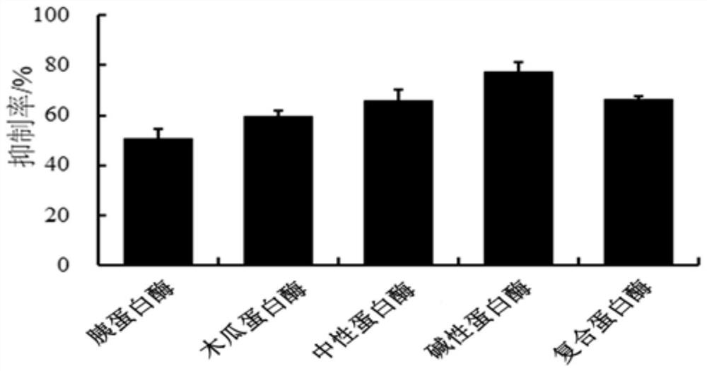 Crocodile bone gelatin polypeptide, and preparation method and applications of crocodile bone gelatin polypeptide