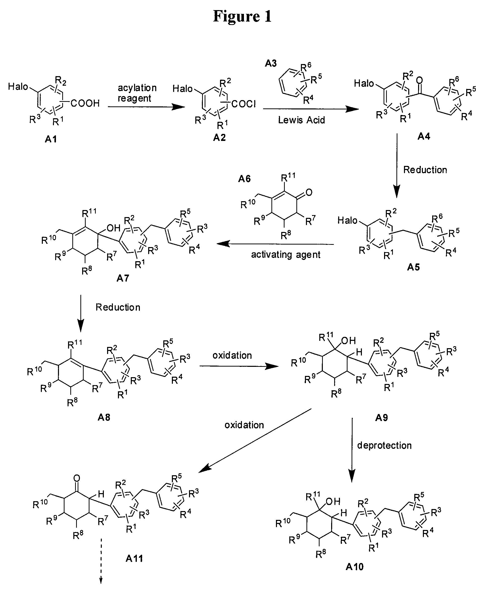 Benzylphenyl cyclohexane derivatives and methods of use