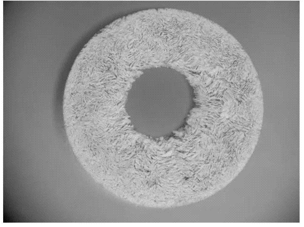 Method for preparing gradient porous ceramic by using centrifugal freeze drying technology