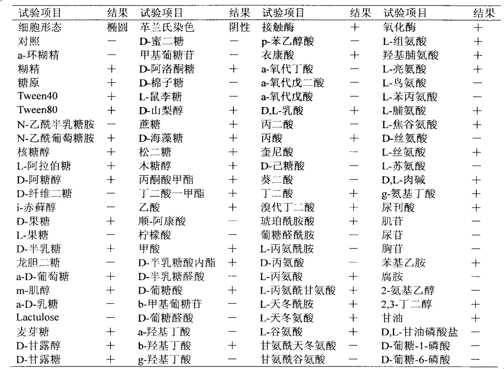 Aerobic denitrifying Paracoccus denitrificans and application thereof