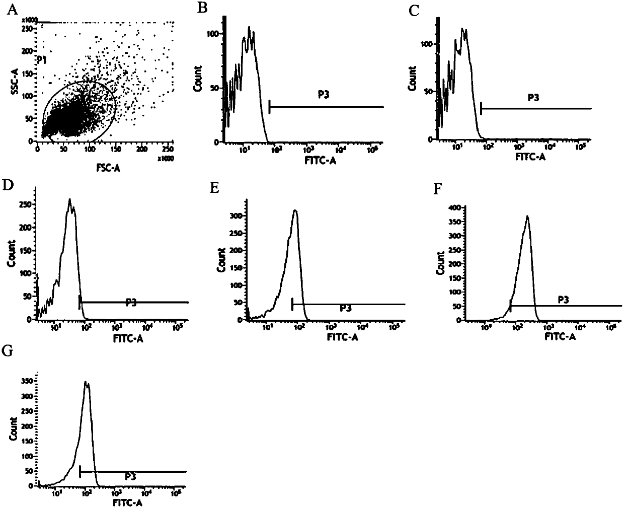 inhibition-effect-of-il-35-on-effector-t-cell-autophagy-in-sepsis