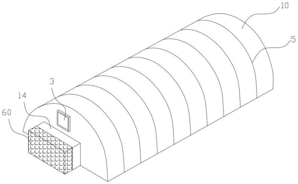 Low-energy-consumption double-film pressurized greenhouse