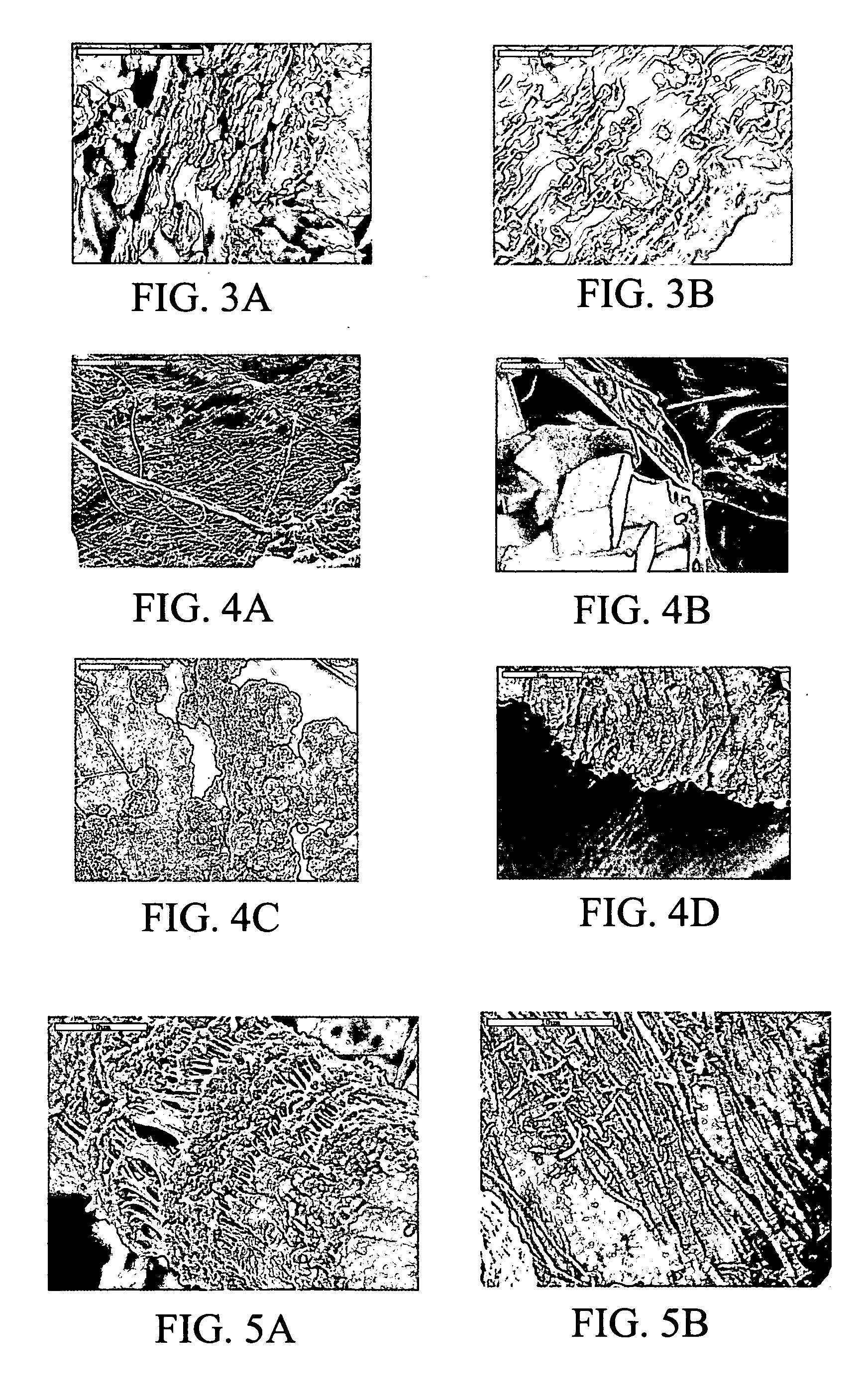 Biomimetic organic/inorganic composites, processes for their production, and methods of use