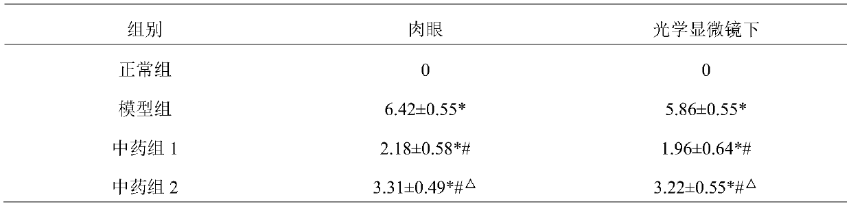 Traditional Chinese medicine composition for treating colitis and proctitis and application thereof