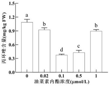 Method for relieving pesticide stress of pseudo-ginseng and reducing pesticide residues by brassinolide