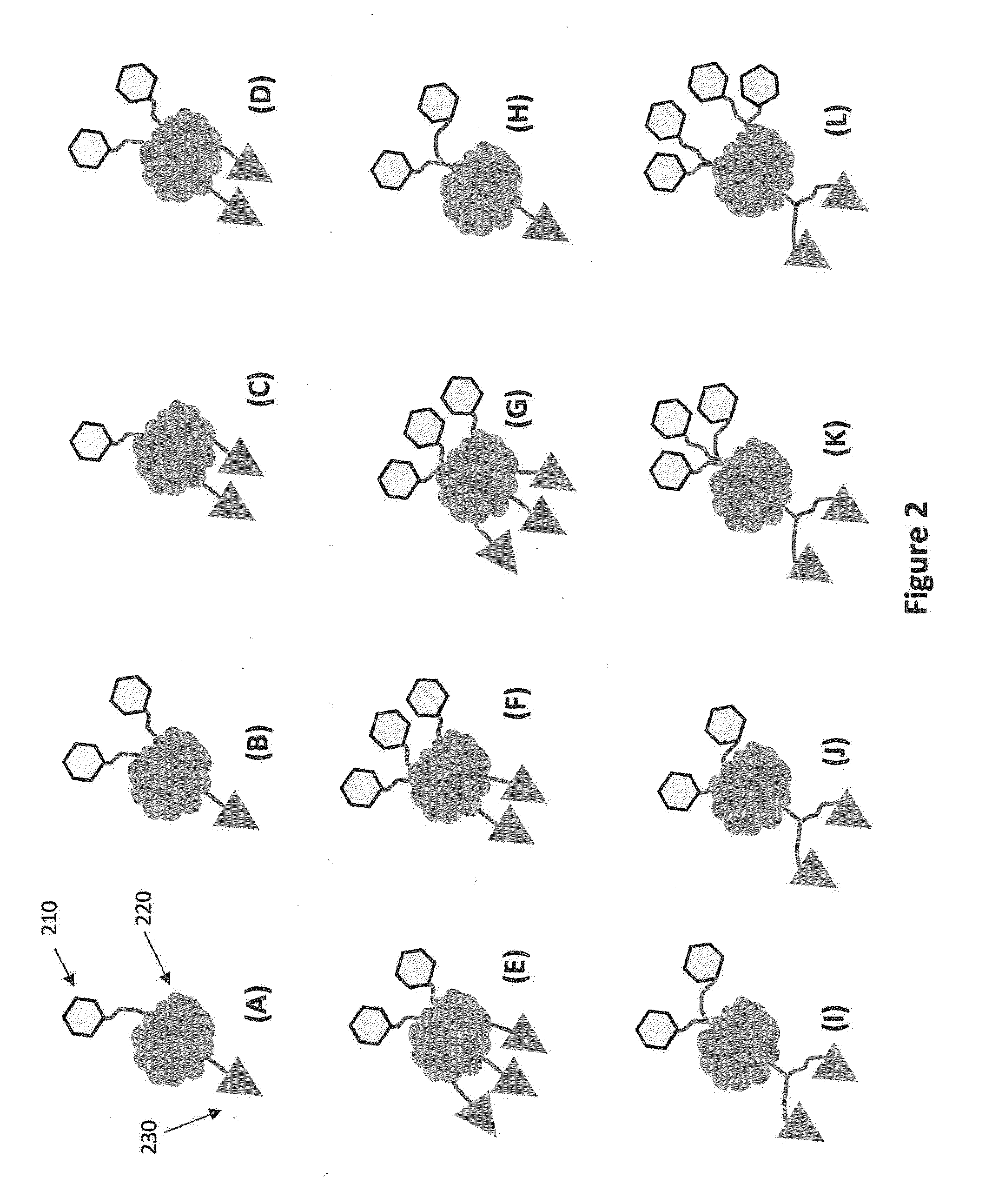 Polymerase enzyme substrates with protein shield