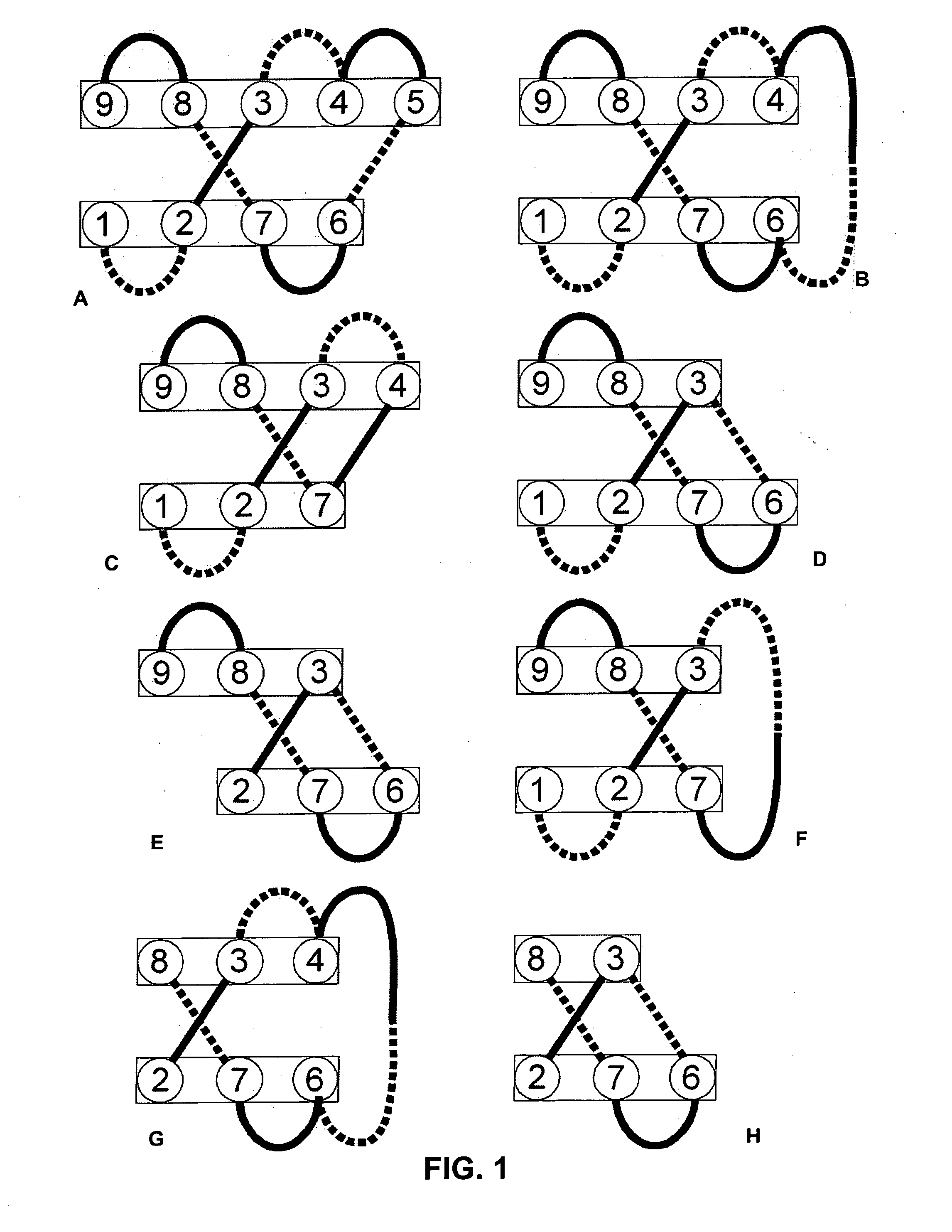 Affinity proteins for controlled application of cosmetic substances