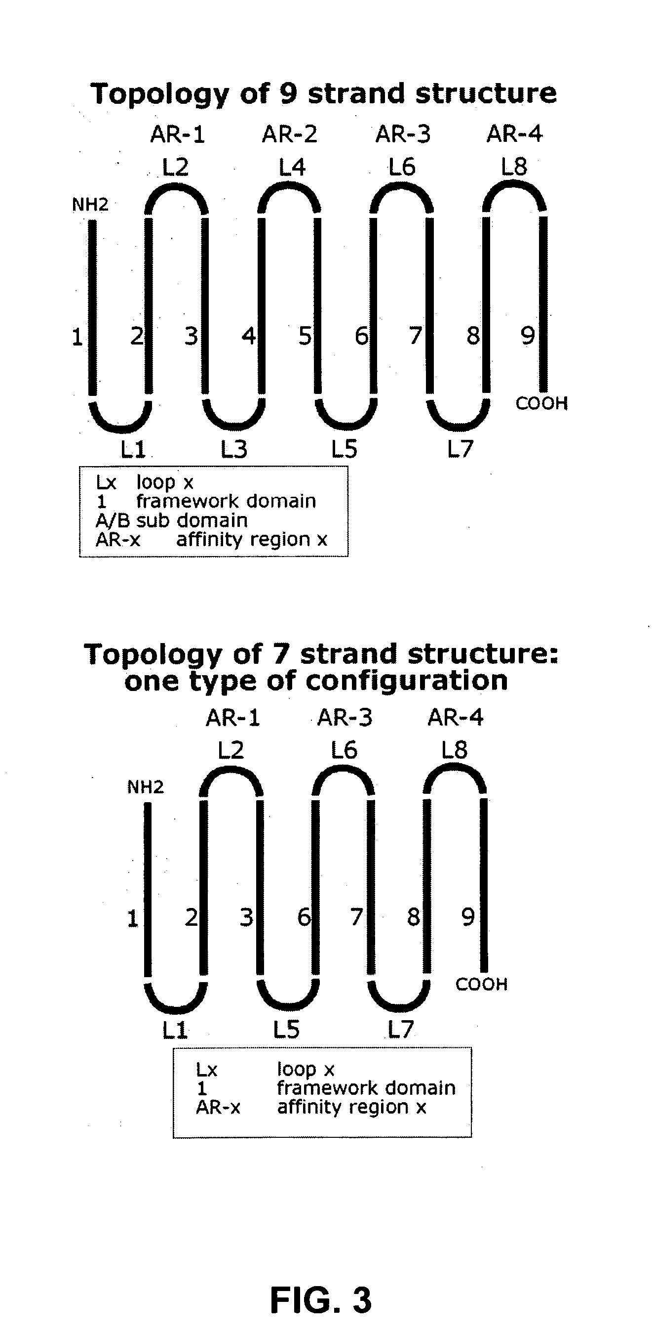 Affinity proteins for controlled application of cosmetic substances