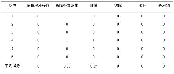 Camellia oil ointment and preparation method thereof