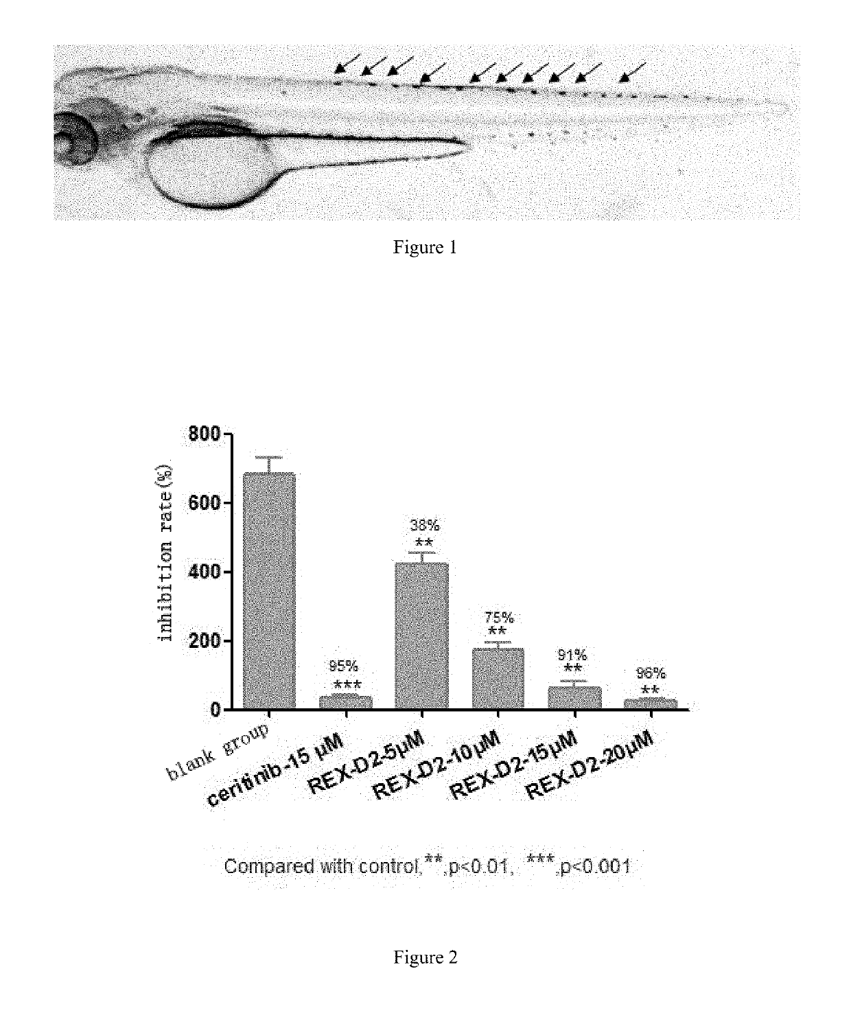 Benzofuran pyrazole amine kinase inhibitor