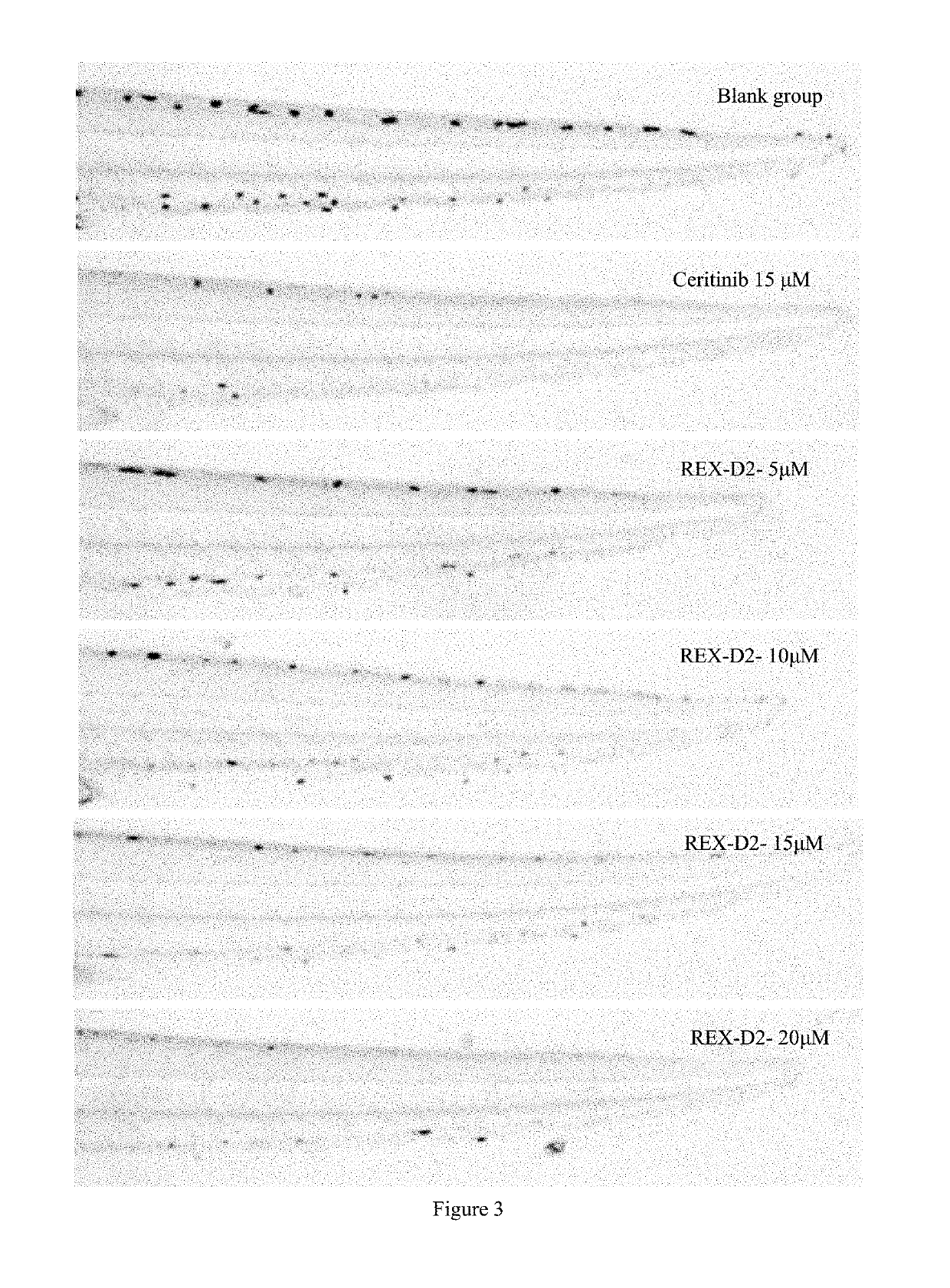 Benzofuran pyrazole amine kinase inhibitor