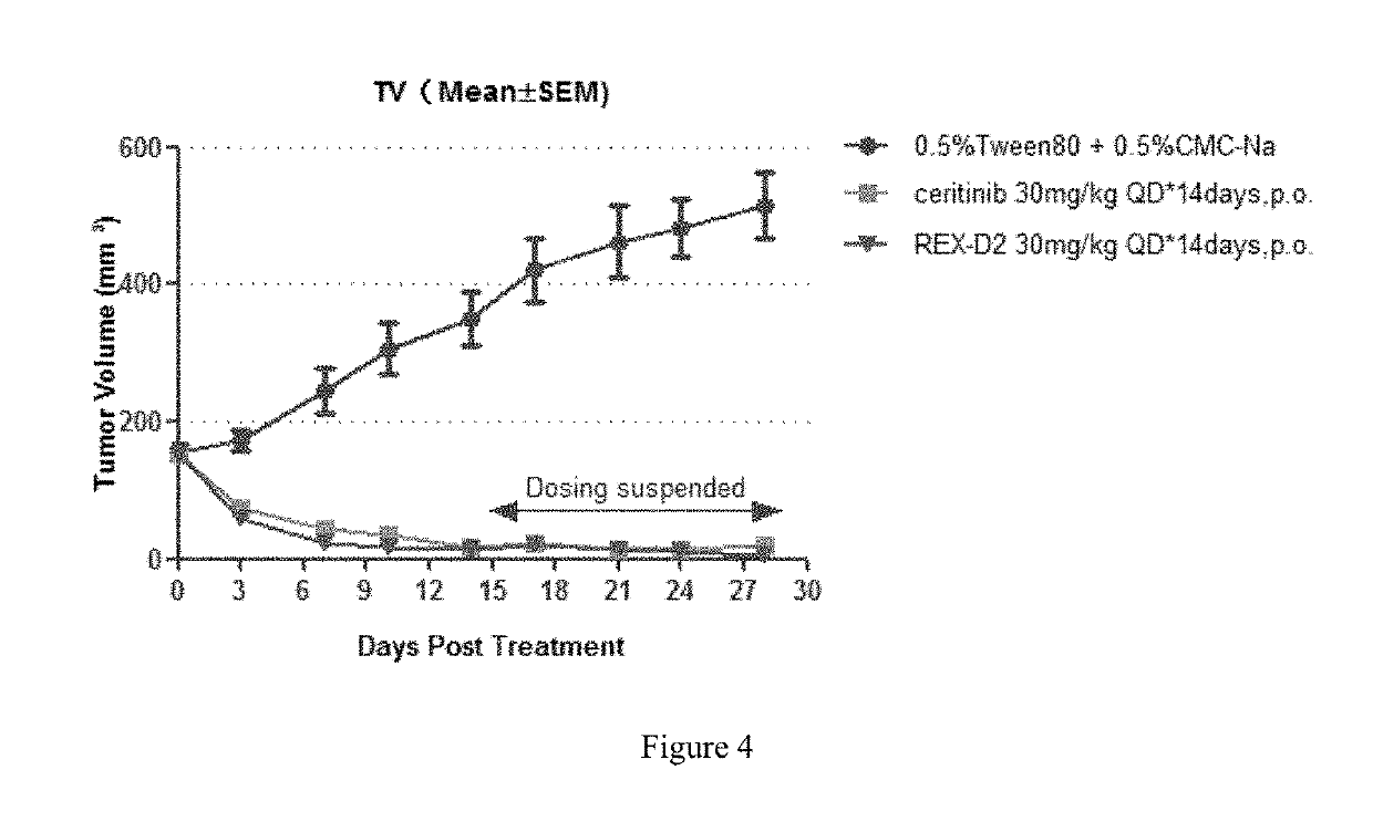 Benzofuran pyrazole amine kinase inhibitor