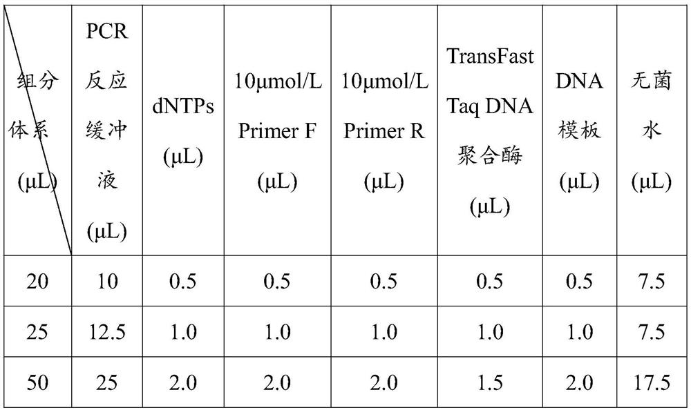 Detection primers and kits and detection methods for the diversity of endophytic fungi in Zhongshan fir