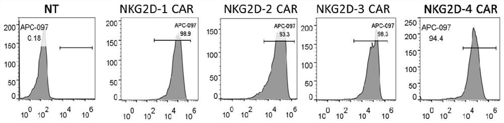 Chimeric antigen receptor targeting NK activated receptor