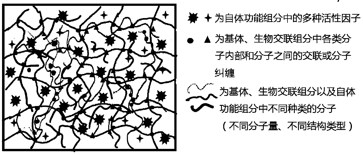 Autologous-regenerating repair dressing for caesarean incision and preparation method thereof