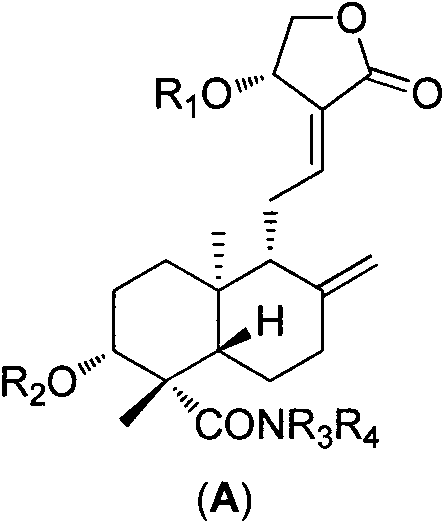 Andrographolide-19-amide derivative, preparation method and its use in medicine