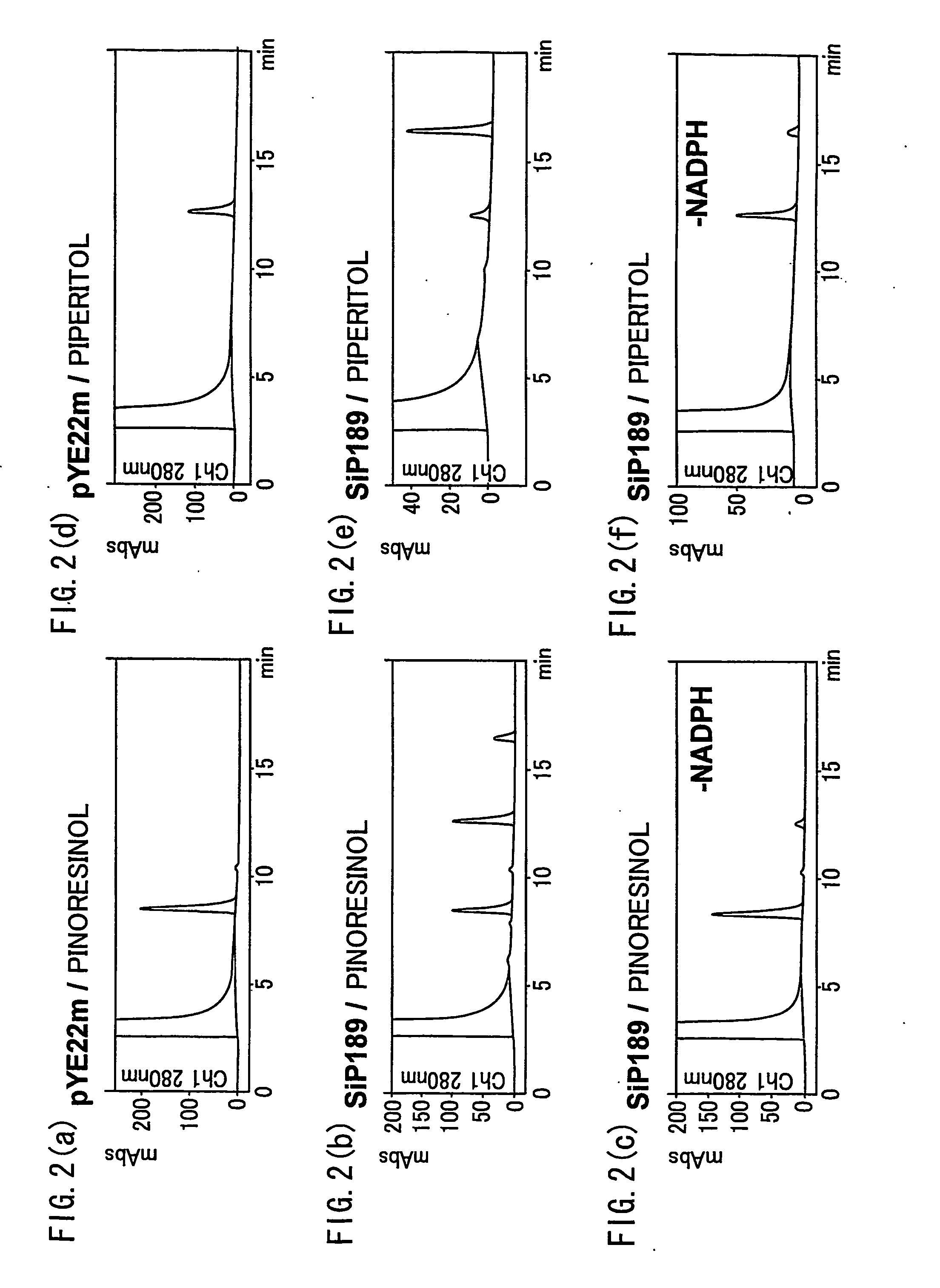 Gene Encoding an Enzyme for Catalyzing Biosynthesis of Lignan, and Use Thereof