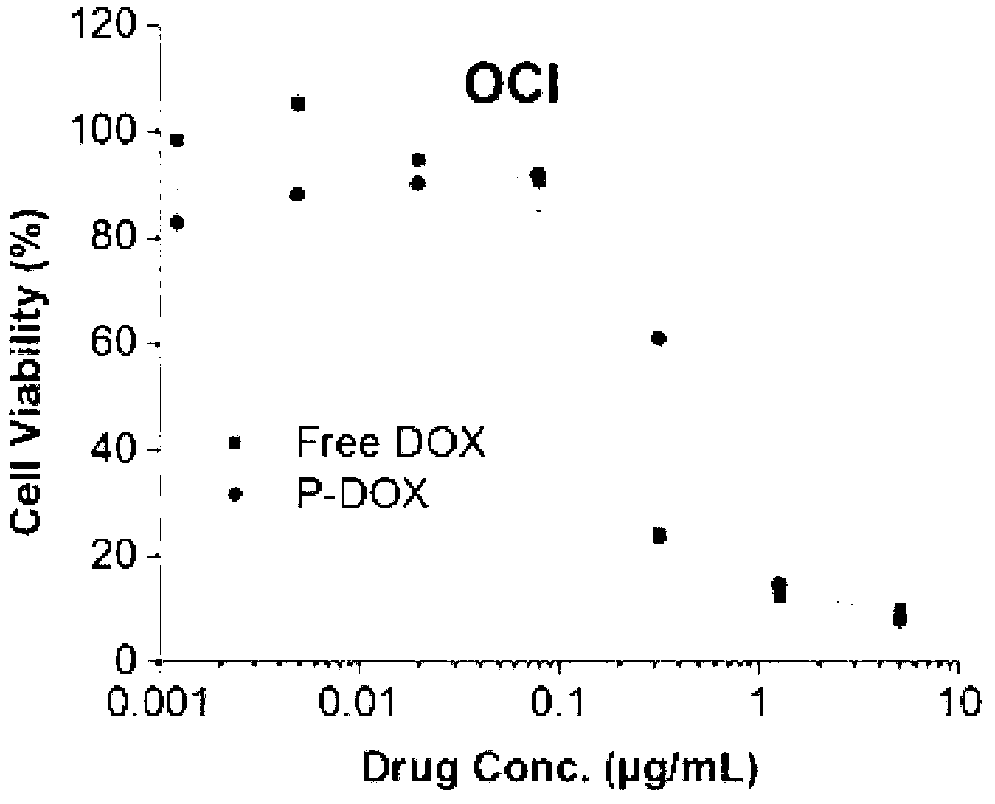 Tree-like polymer nanometer drug delivery carrier targeting doxorubicin and its preparation method