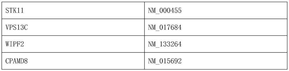 Human gene combination and application thereof to preparation of kit for evaluating sensitivity of cervical cancer neoadjuvant chemotherapy drugs