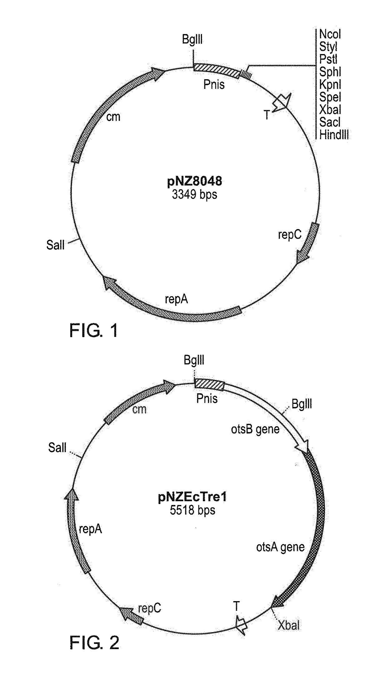 Method to improve lactococcus preservation