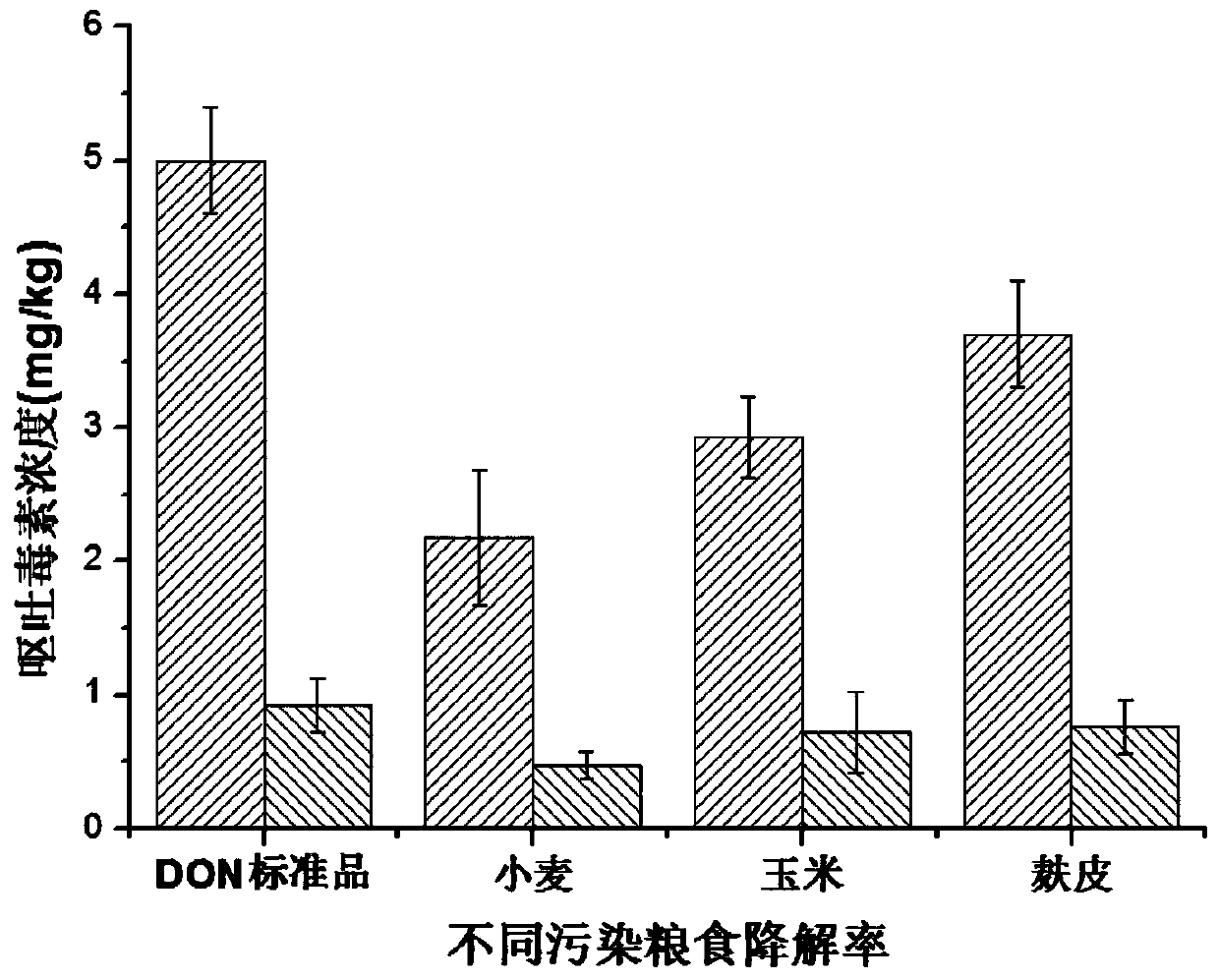 A method for rapidly and effectively degrading deoxynivalenol in grains