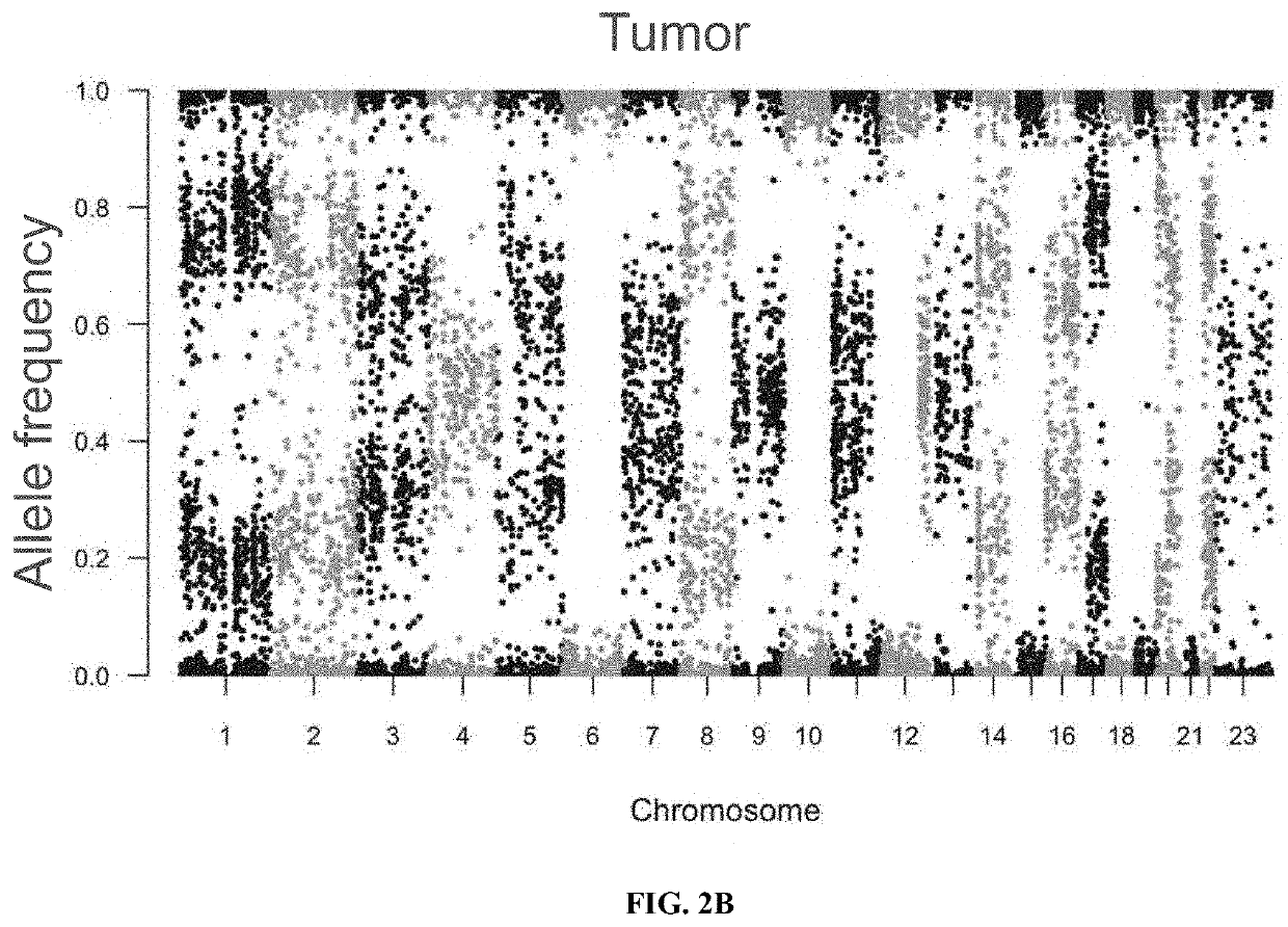 Method of improving prediction of response for cancer patients treated with immunotherapy