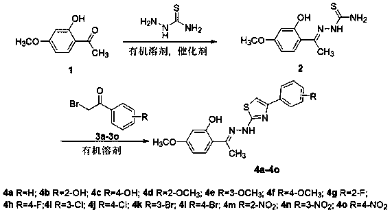 Paeonol thiazole derivative and preparation method and application thereof