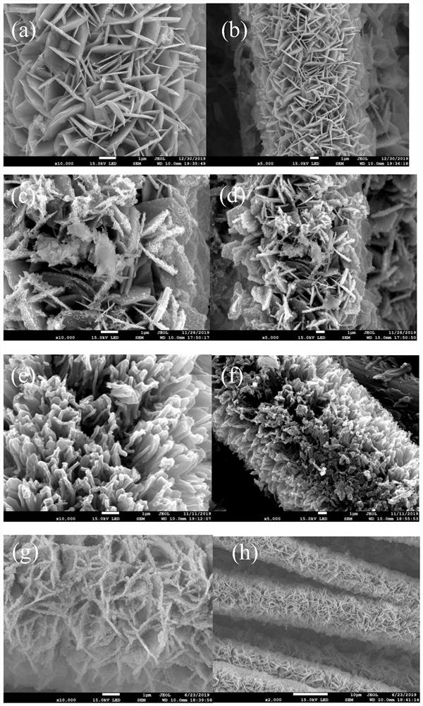 A transition metal ion-doped trimanganese tetraoxide nanosheet array based on carbon cloth growth and its preparation method and application